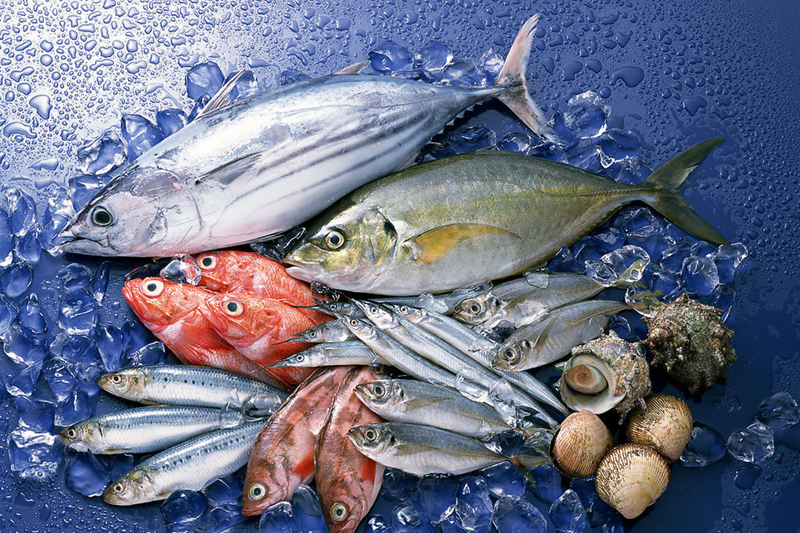 華坤漁業收購6艘捕撈船，董事長親臨現場指導